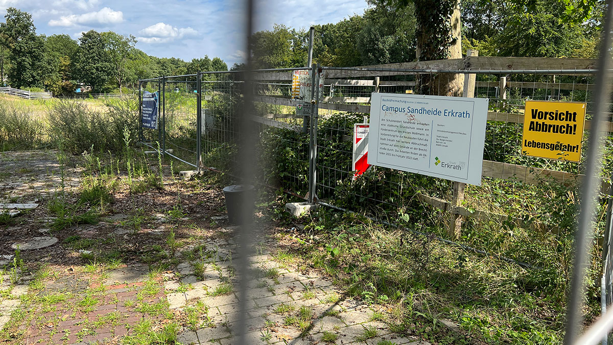 Was haben Notre-Dame in Paris und die Grundschule Sandheide gemeinsam?